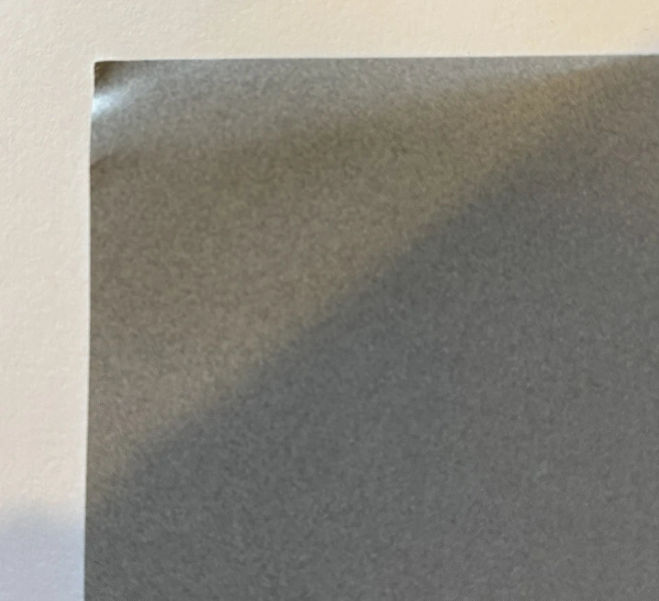 YG Autographed/Signed 18x24 I Got Issues Poster!