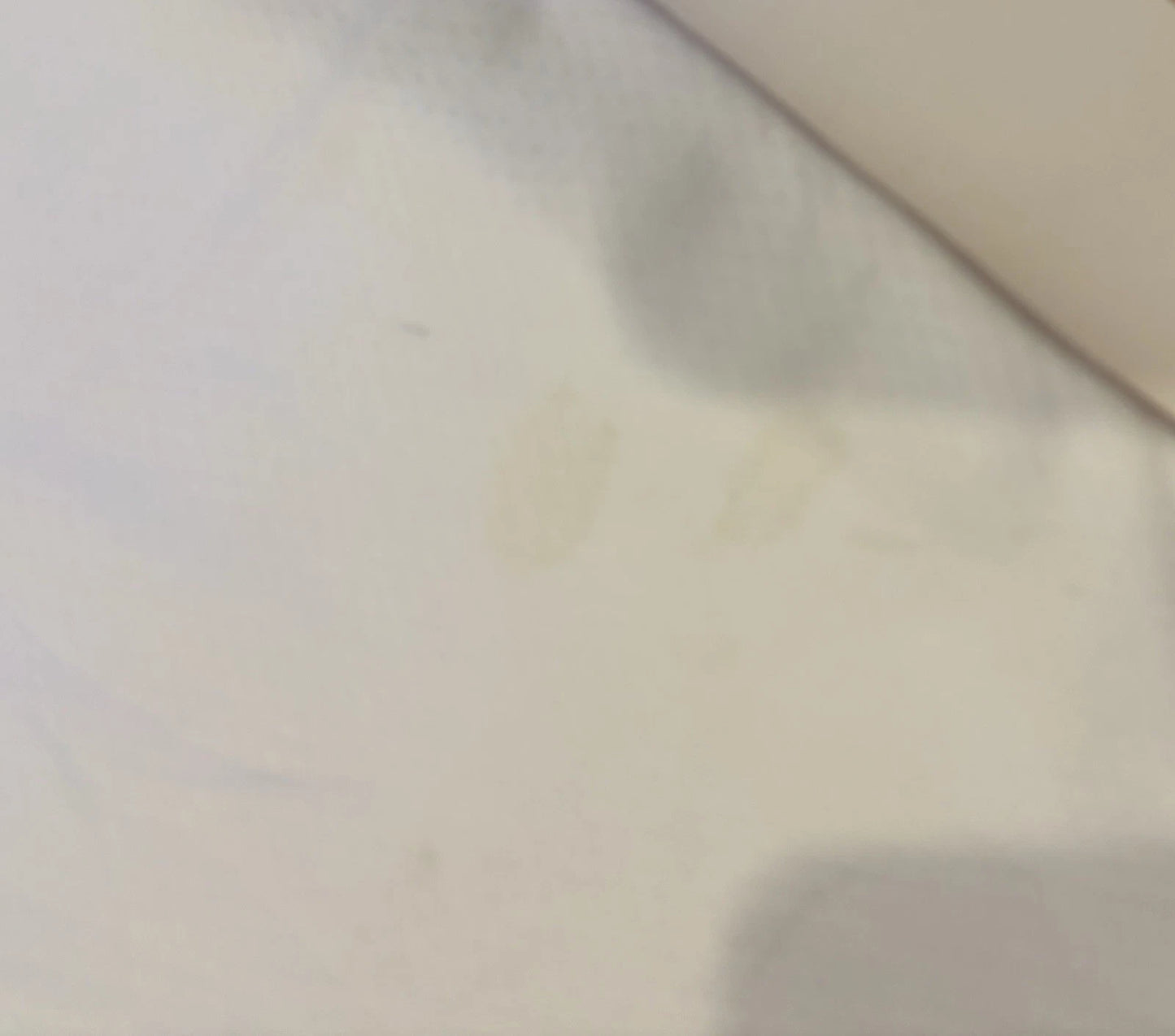 Caroline Ducharme Autographed/Signed UConn Huskies Jersey PSA!