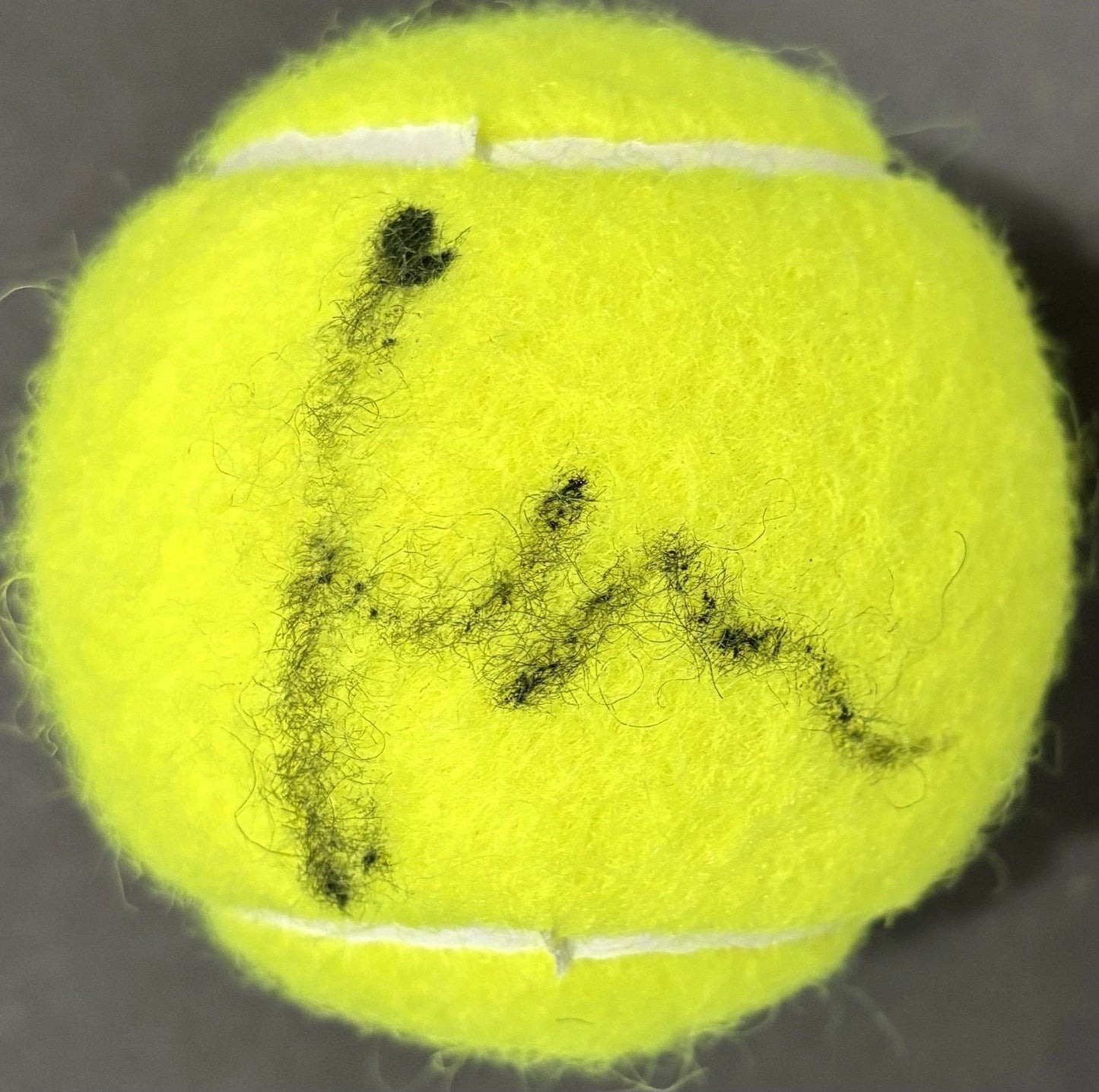 Holger Rune Autographed/Signed US Open Wilson Tennis Ball PSA!