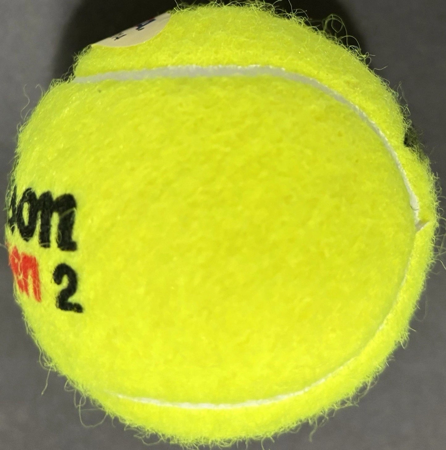 Holger Rune Autographed/Signed US Open Wilson Tennis Ball PSA!