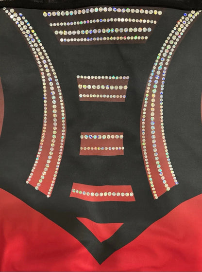 Jordan Chiles GK Elite Embrace It Elegance Red USA Gymnastics Leotard Adult Large! (Unisgned)