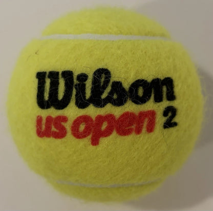 Jordan Thompson Autographed/Signed US Open Wilson Tennis Ball Exact Proof!