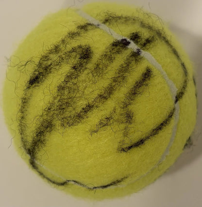 Karen Khachanov Autographed/Signed US Open Wilson Tennis Ball!