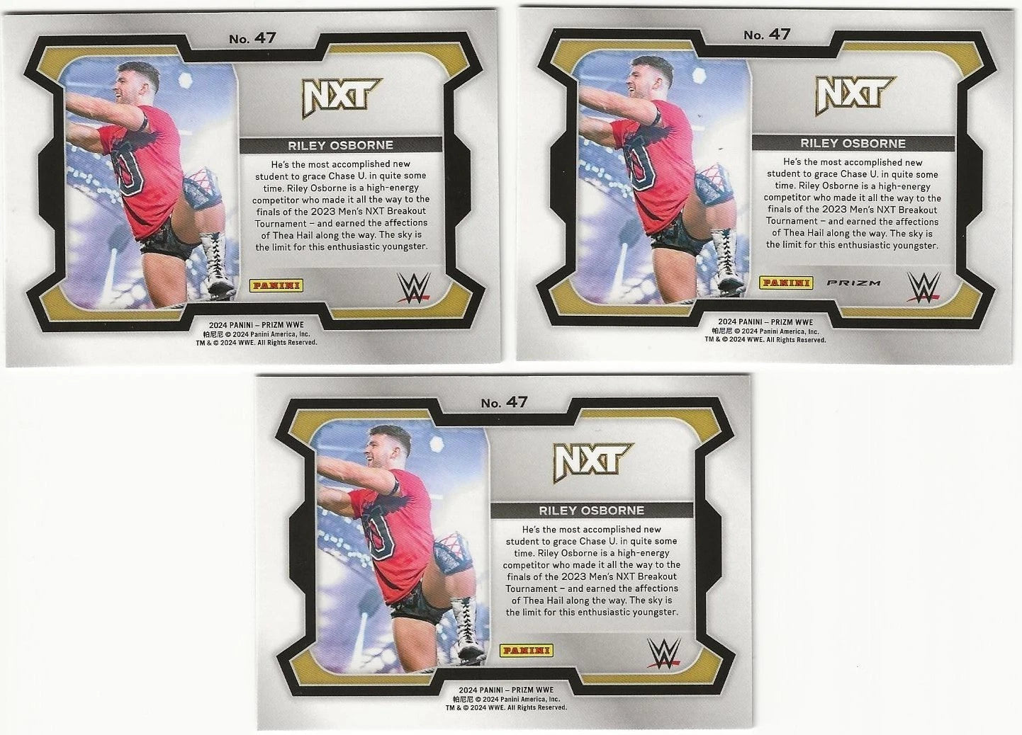 LOT Of 3 Riley Osborne Autographed/Signed 2024 Panini Prizm WWE NXT RC Cards!