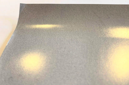 YG Autographed/Signed 18x24 I Got Issues Poster!