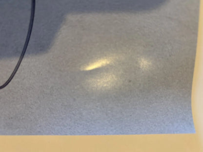 YG Autographed/Signed 18x24 I Got Issues Poster!