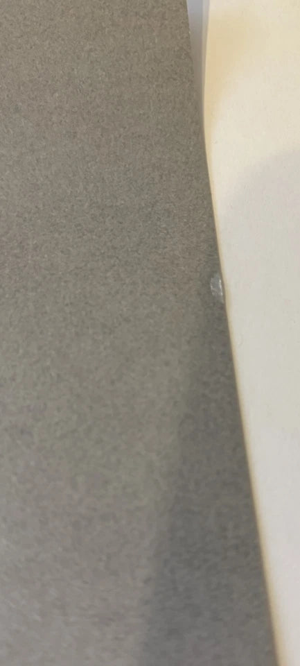 YG Autographed/Signed 18x24 I Got Issues Poster!